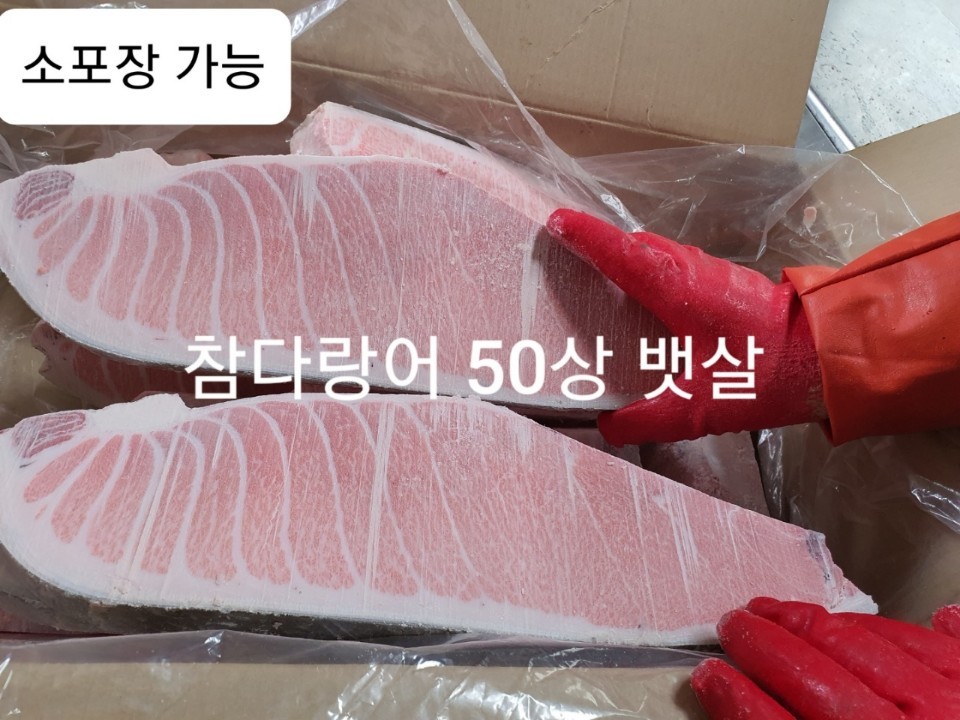 참다랑어 50상 뱃살