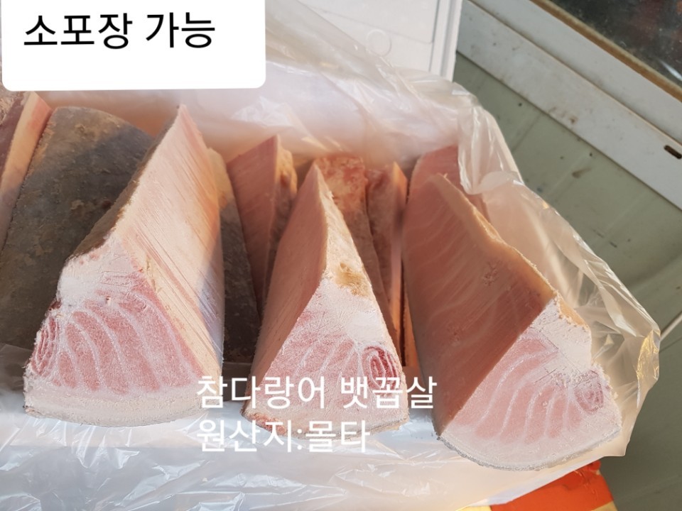 참다랑어 뱃곱살 몰타산